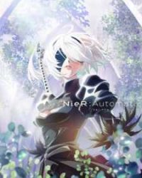 NieR:Automata Ver1.1a